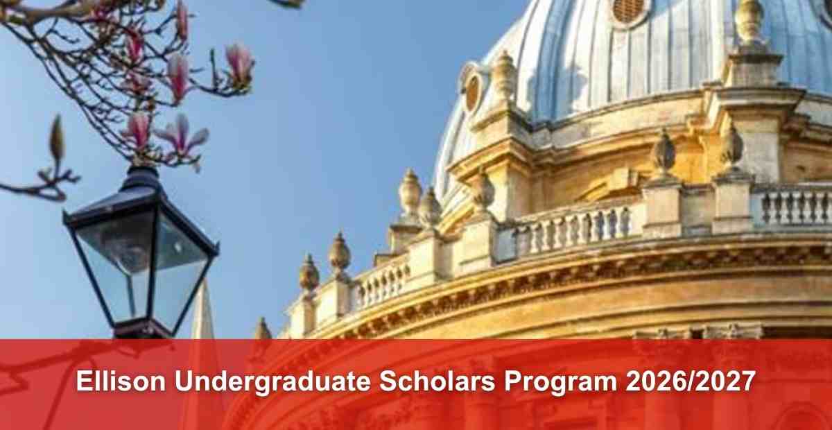 Ellison Undergraduate Scholars Program 2026/2027 - How to Apply